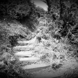 Talleres de escritura para jóvenes y niños en Asturias Talleres de escritura para jóvenes y niños en Asturias